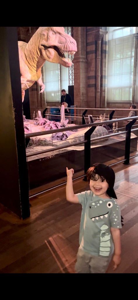 The current image has no alternative text. The file name is: img_8572.jpg